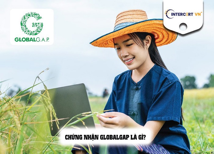 Chứng nhận GlobalG.A.P 