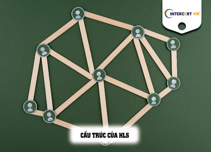 hls cấu trúc cấp cao của iso