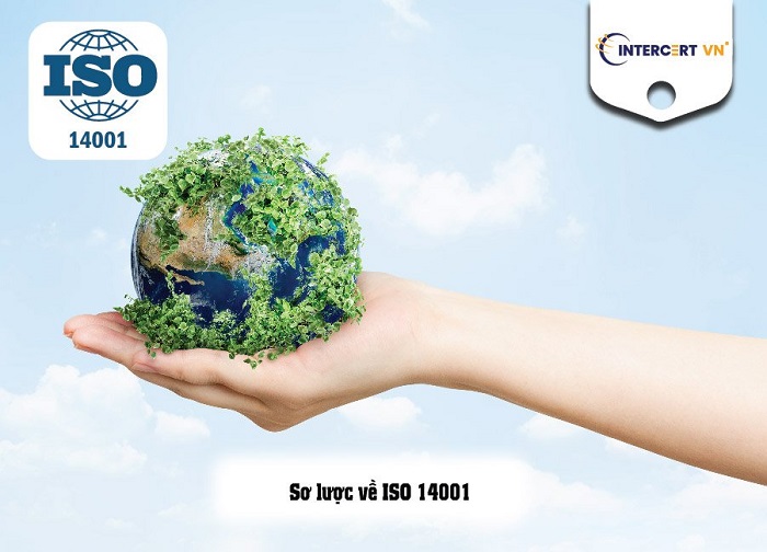 Sự giống và khác nhau giữa ISO 9001 và ISO 14001