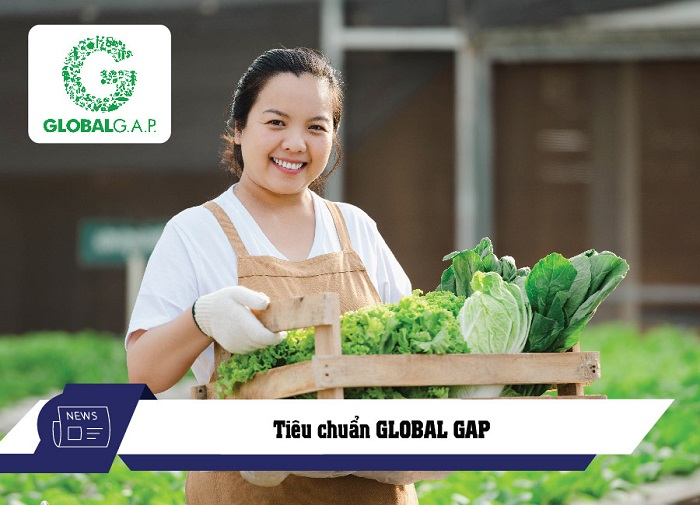 Tiêu chuẩn GLOBAL GAP