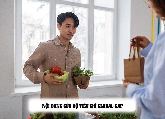 Tiêu chuẩn GLOBAL GAP 