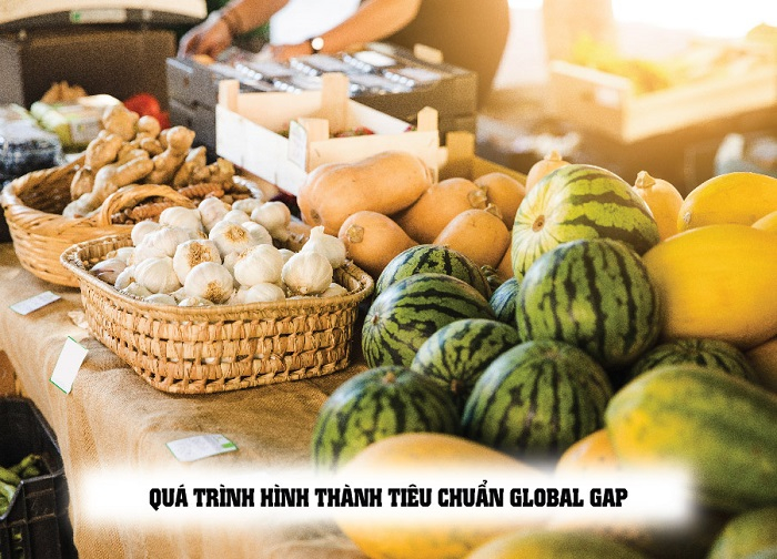 Tiêu chuẩn GLOBAL GAP 