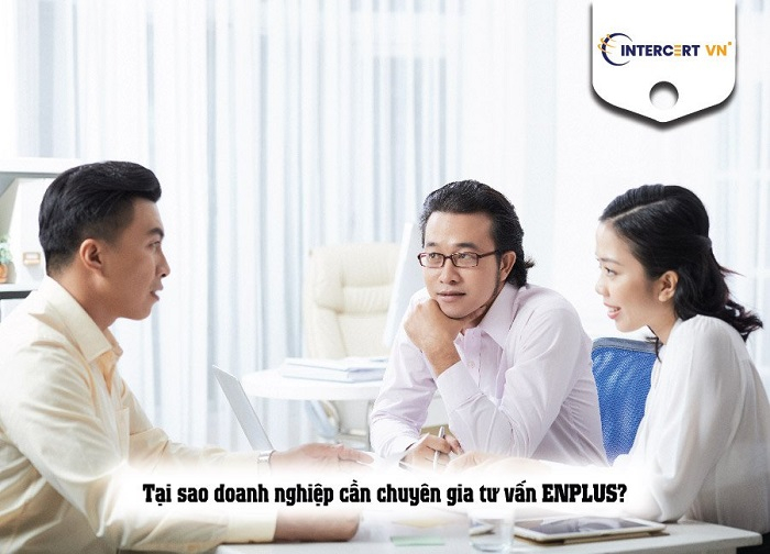 tư vấn enplus