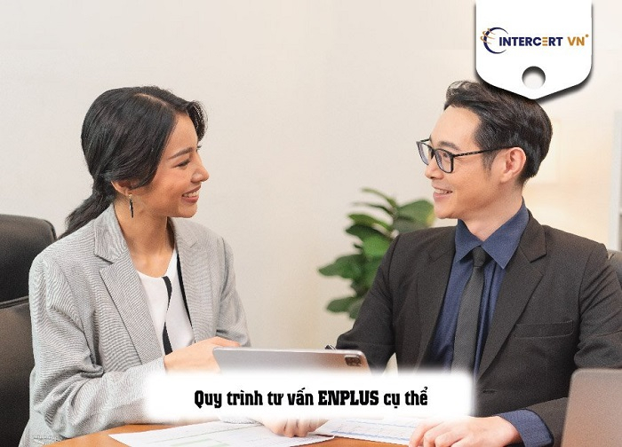 tư vấn enplus