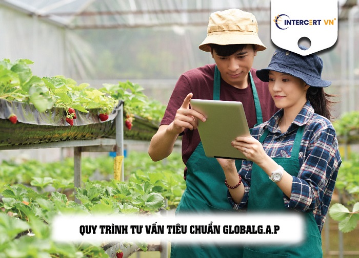 Tư vấn GlobalG.A.P 