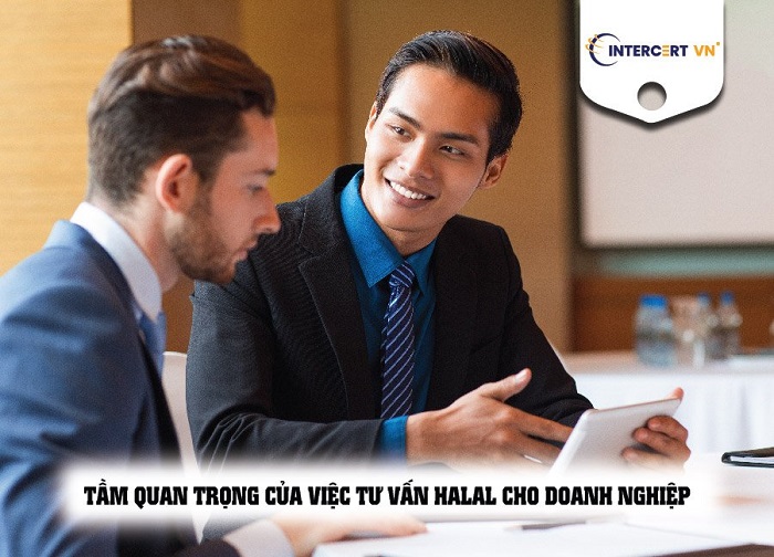 tư vấn halal