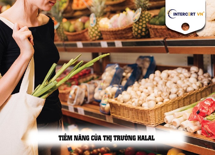 tư vấn halal