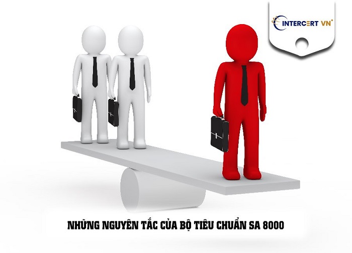 tư vấn sa 8000