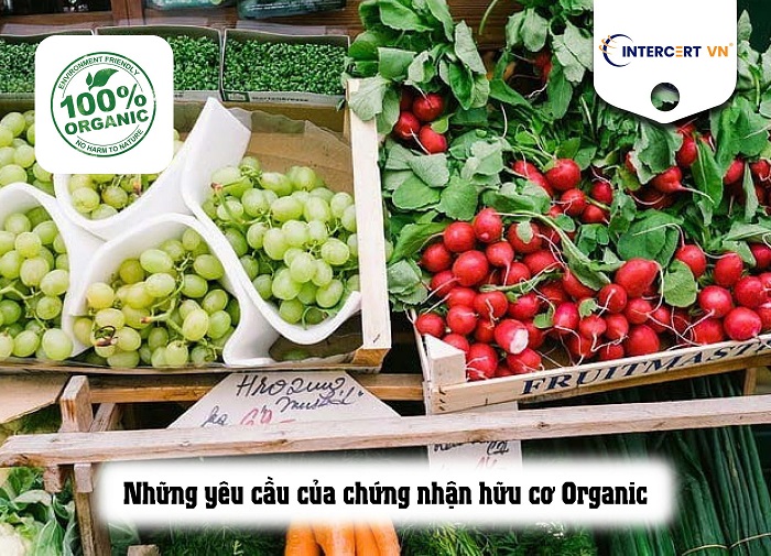 chứng nhận organic