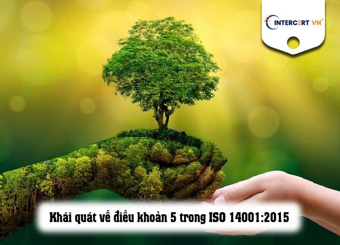 Điều khoản 5 trong ISO 14001:2015