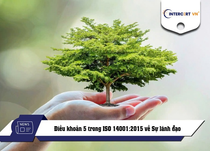 Điều khoản 5 trong ISO 14001:2015