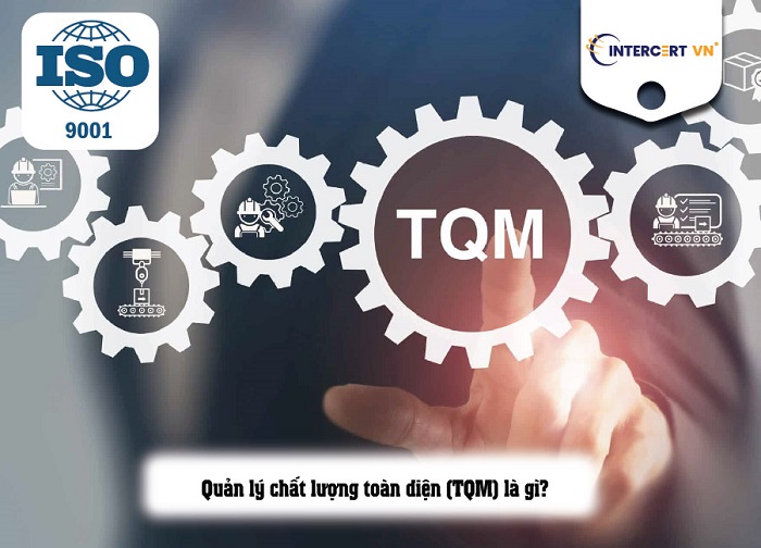 Sự khác biệt giữa TQM và ISO 9001