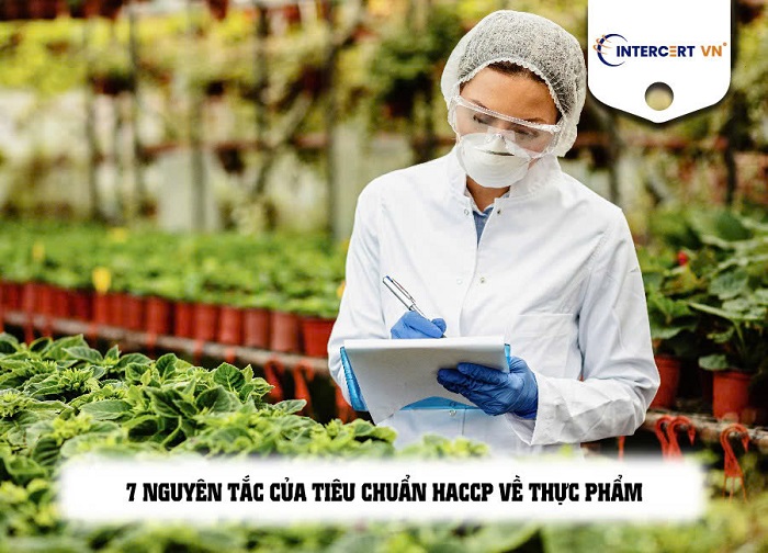 tiêu chuẩn haccp