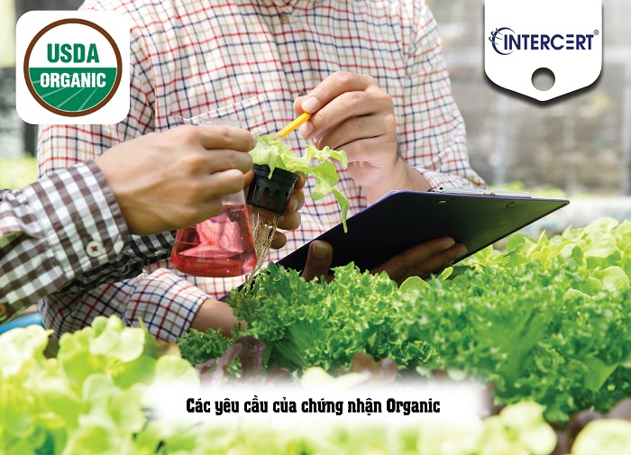 Tiêu Chuẩn ORGANIC 