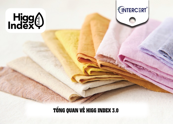 tư vấn higg index