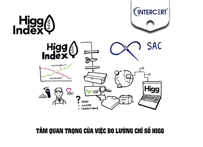 tư vấn higg index