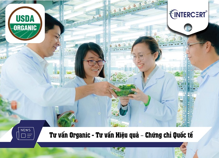 tư vấn organic