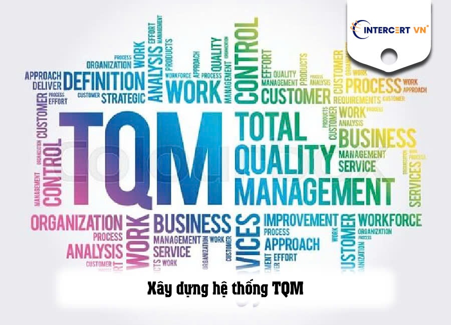 xây dựng tqm