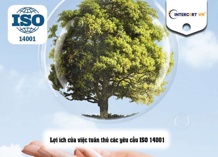 Các yêu cầu của ISO 14001 doanh nghiệp cần tuân thủ