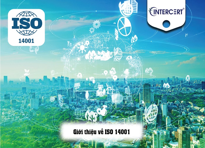 Các bước thực hiện ISO 14001