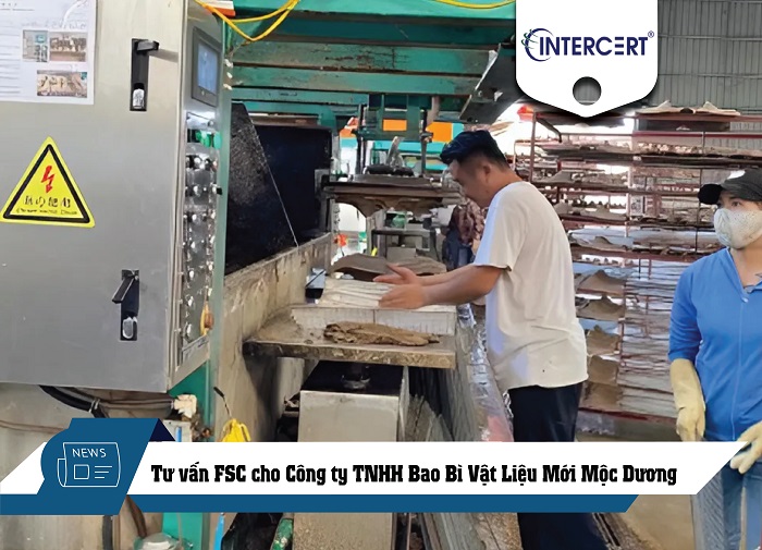 Tư vấn FSC