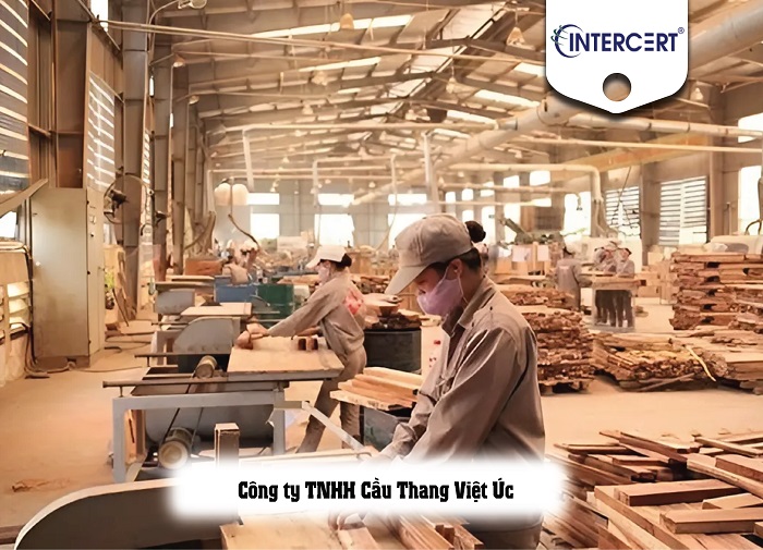 Công ty TNHH Cầu Thang Việt Úc