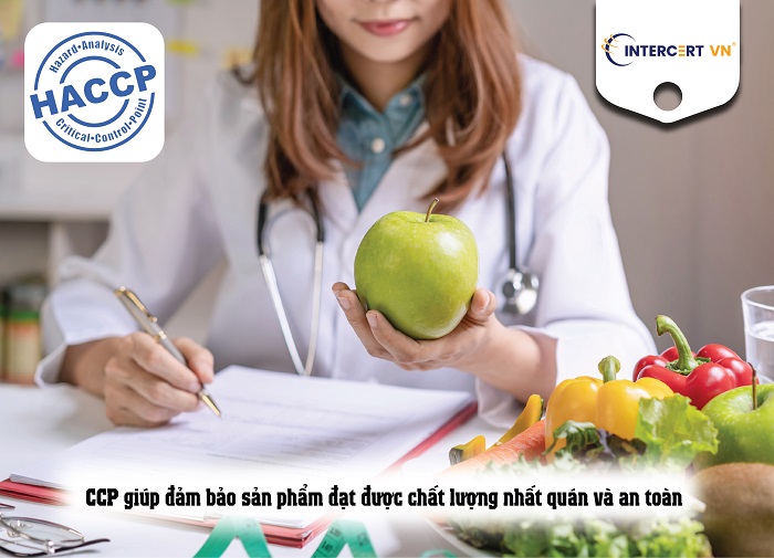 CCP trong HACCP là gì