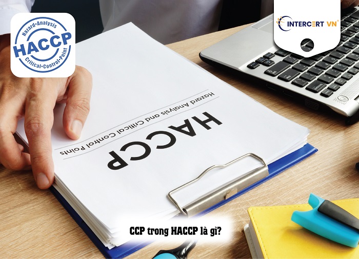 CCP trong HACCP là gì