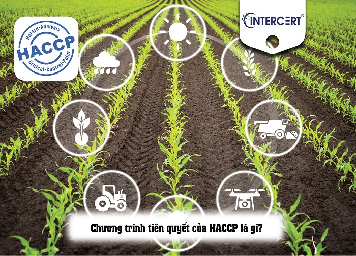 Chương trình Tiên quyết HACCP