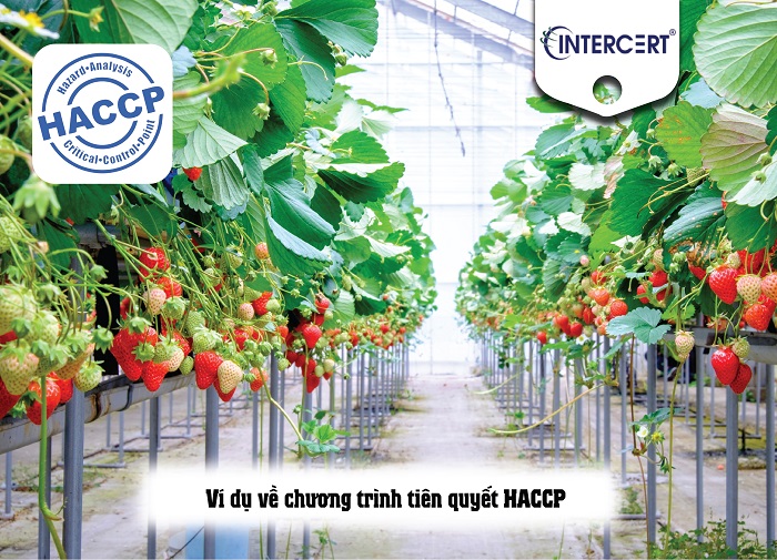 Chương trình Tiên quyết HACCP