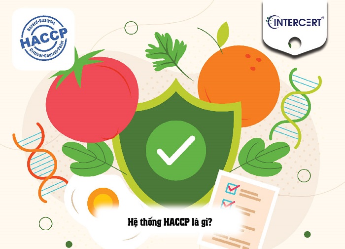 hệ thống HACCP là gì 