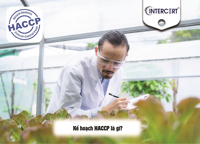 kế hoạch haccp 