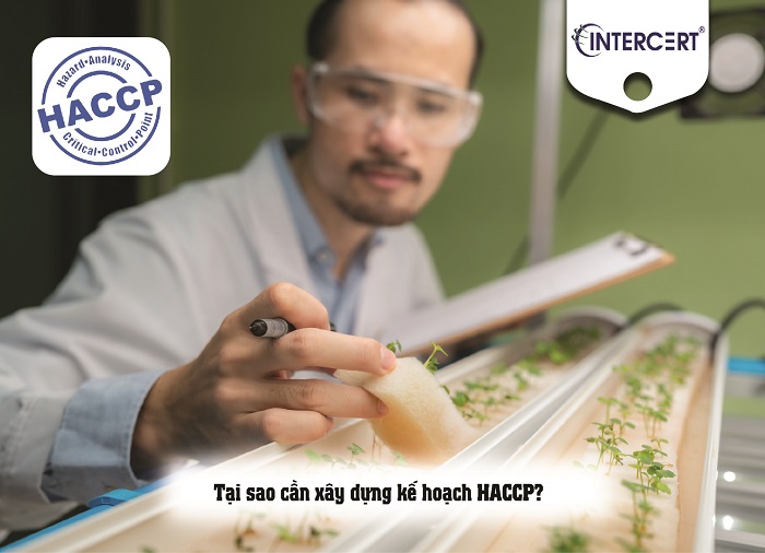 kế hoạch haccp 