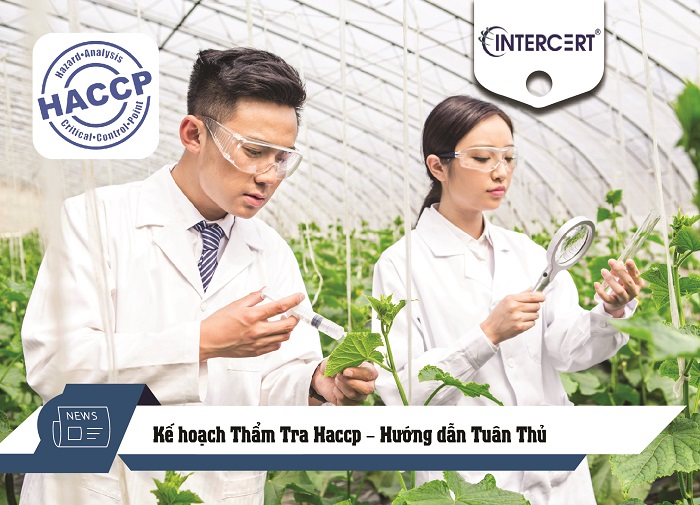 Kế hoạch Thẩm Tra Haccp