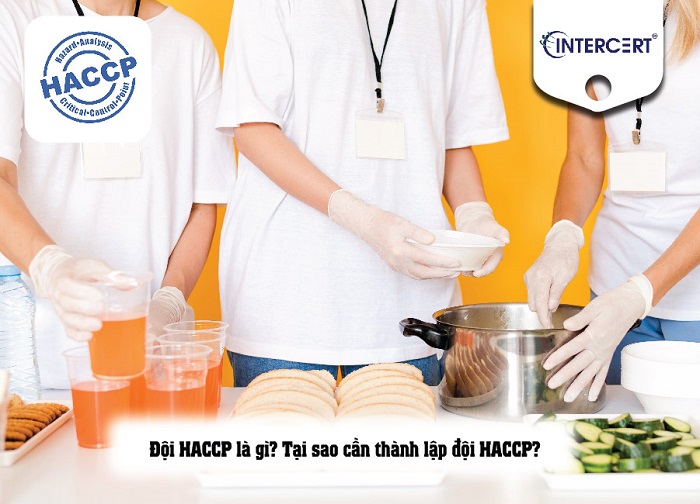 Những lưu ý khi thành lập đội HACCP