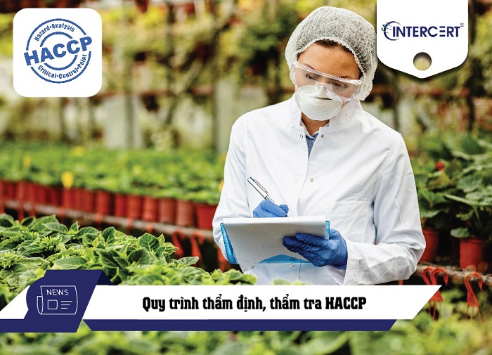 Quy trình thẩm định, thẩm tra HACCP