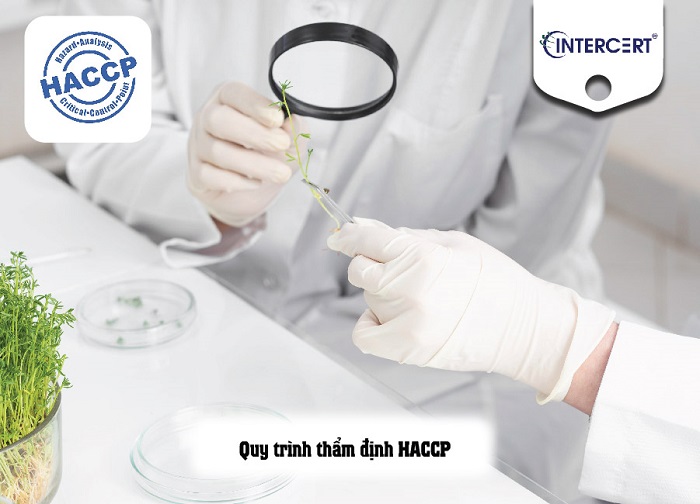 Quy trình thẩm định, thẩm tra HACCP