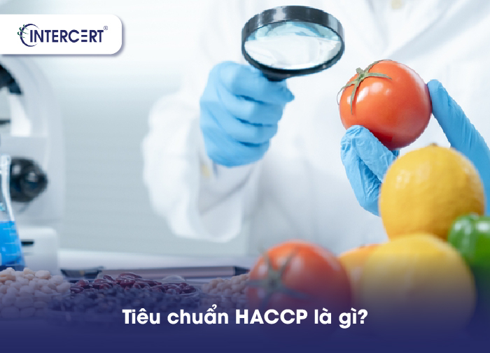 Các phòng ban liên quan tới HACCP