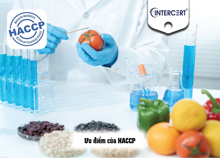 Ưu nhược điểm của HACCP