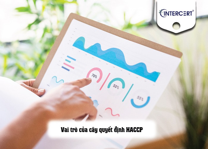 cây quyết định haccp