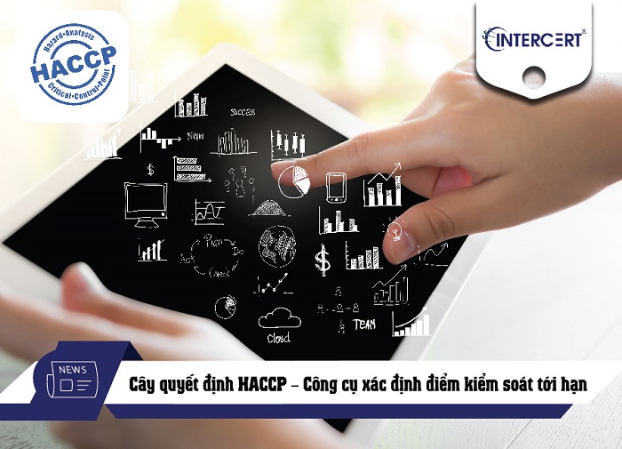 cây quyết định haccp