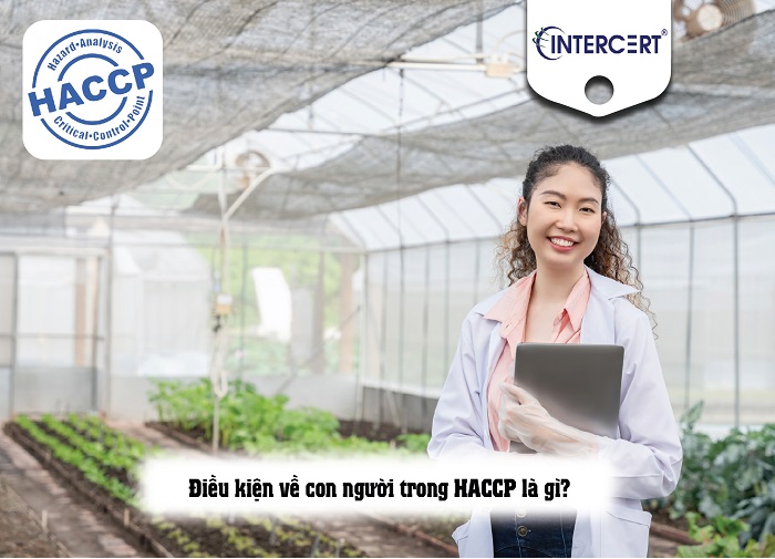 Điều kiện về Con người trong HACCP