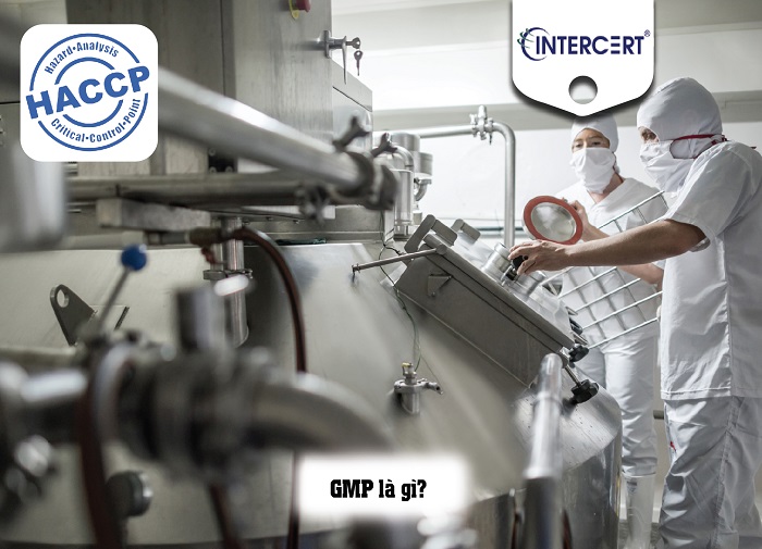 GMP & HACCP – So sánh HACCP và GMP