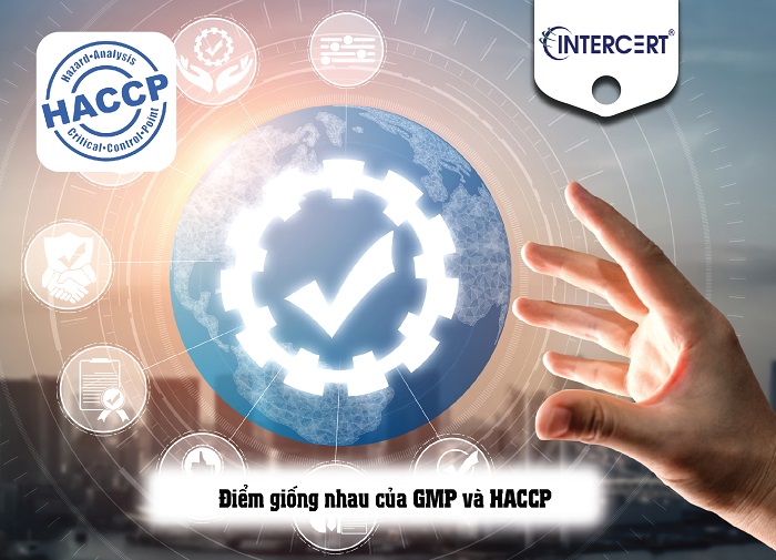 GMP & HACCP – So sánh HACCP và GMP