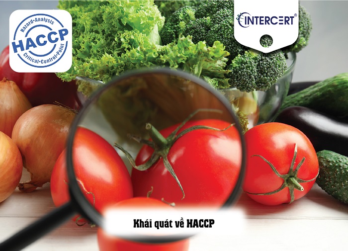  ISO 9001 & HACCP – Khái quát và So sánh