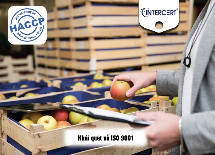  ISO 9001 & HACCP – Khái quát và So sánh