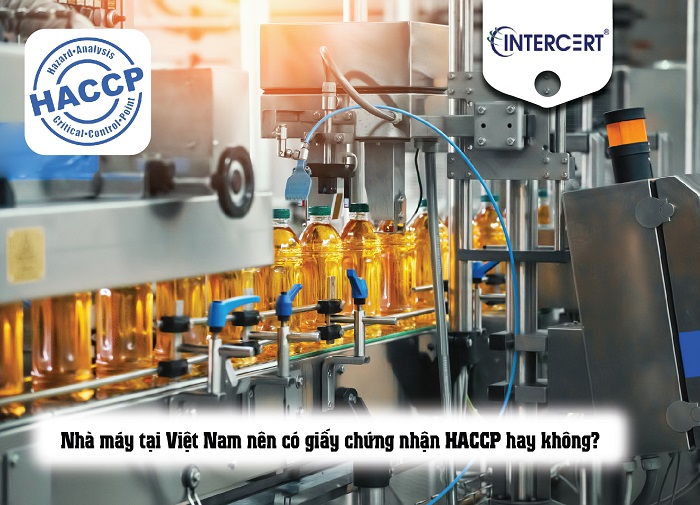 nhà máy không có haccp