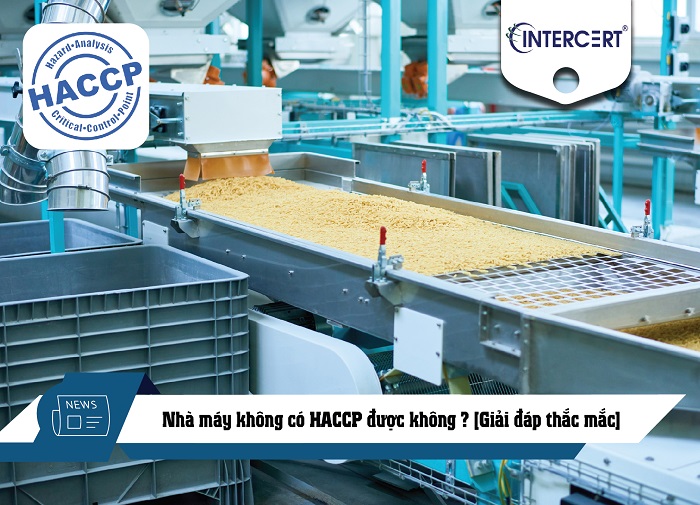 nhà máy không có haccp