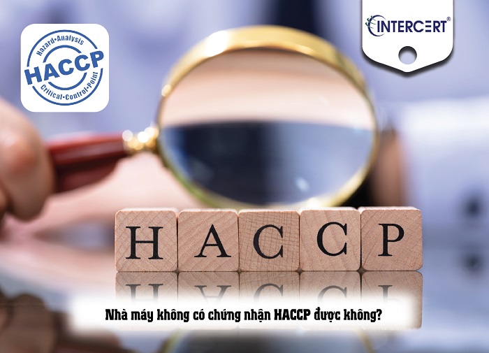 nhà máy không có haccp