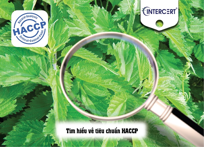 đối tượng haccp